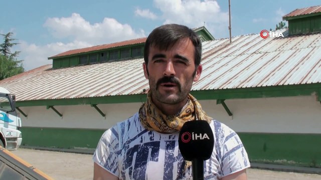 Haşhaş kapsülü hasadı sürüyor