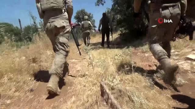 Terörün finans kaynağına büyük darbe: Son 7 operasyonda toplam 12 milyon kök kenevir kenevir ele...