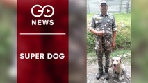 Canine Rescues Trapped Man In J&K