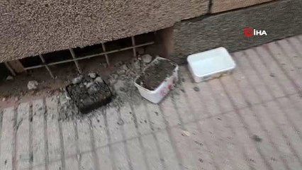 Komşuları sokak hayvanları için su koyduğu kaba moloz döktü