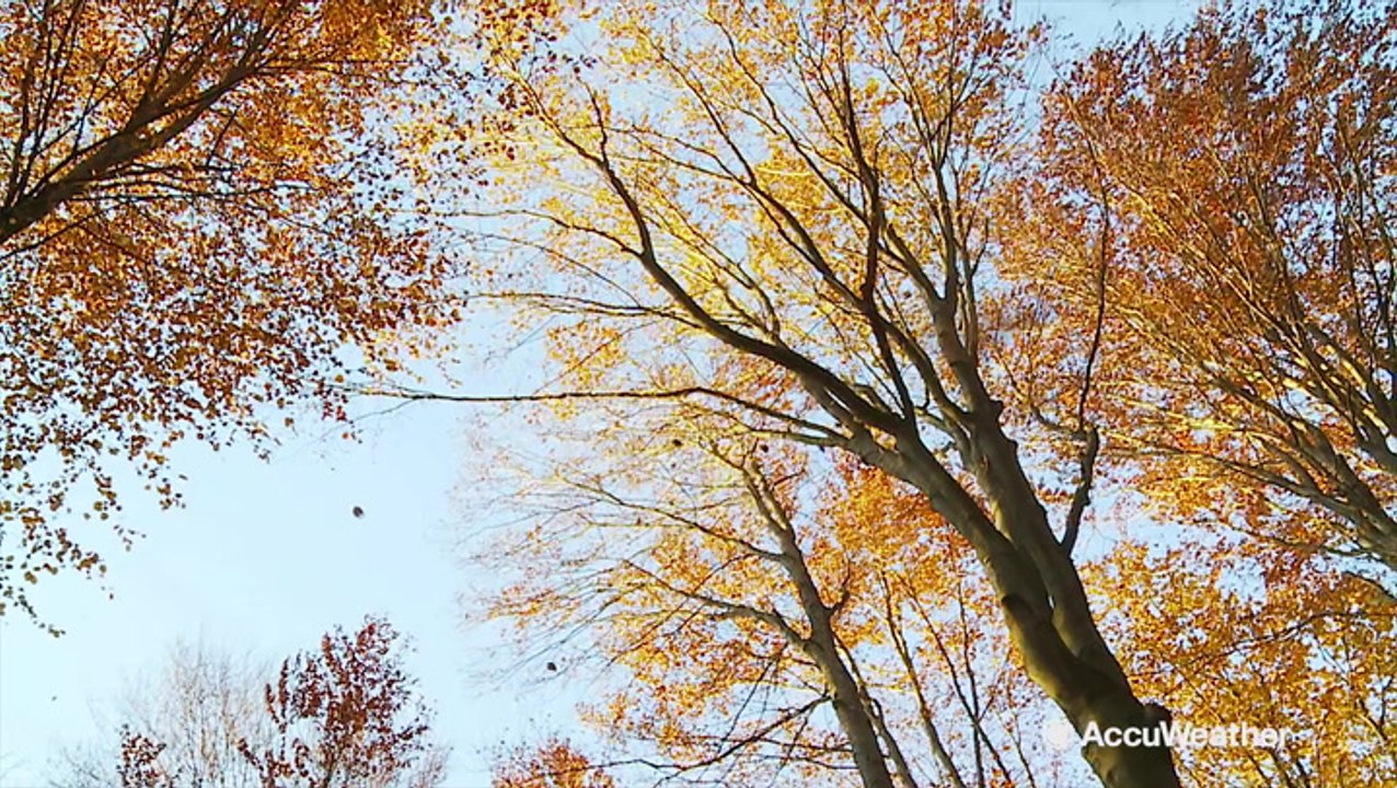 AccuWeather's 2019 fall forecast