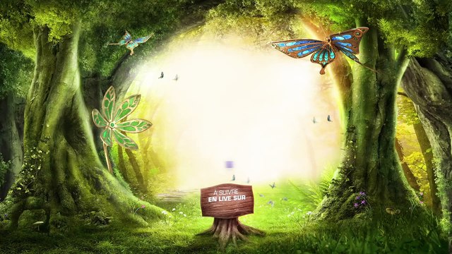 MIKE WILLIAMS en interview sur Fun Radio à Tomorrowland 2019