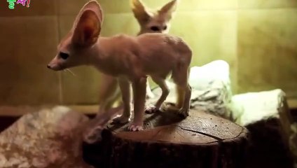 상당구출장안마 -후불100%ョO7Oy7575y0054｛카톡GD825｝ 상당구전지역출장안마 상당구오피걸 상당구출장마사지 상당구안마 상당구출장마사지 상당구콜걸샵ФХЦ