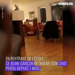 Après 7 mois, il retrouve son chat disparu