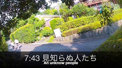 EDR July #31 2019 Noise In The Neighborhood