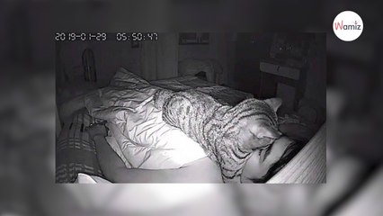 Tentative de meurtre au milieu de la nuit : il visionne sa vidéo de surveillance et se met à rire
