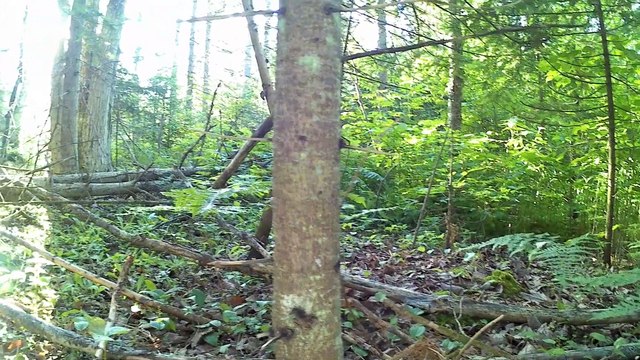 18 Fatima Pilgrimage walk across USA # Rainy day bible reading in tent = VERY HAPPY
