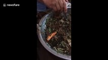 A group of Vietnamese people eat fish - while they are still alive!