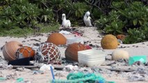 La Isla Henderson, un paraíso arruinado por el plástico