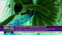 Colombia prevé aumentar exportaciones de café y plátano a China