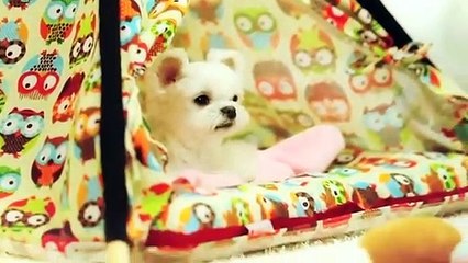 서원구$$∮서원구출장안마 -후불100%ョO7Oy7575y0069｛카톡RD654｝ 서원구전지역출장안마 서원구오피걸 서원구출장마사지 서원구안마 서원구출장마사지 서원구콜걸샵ノハバ