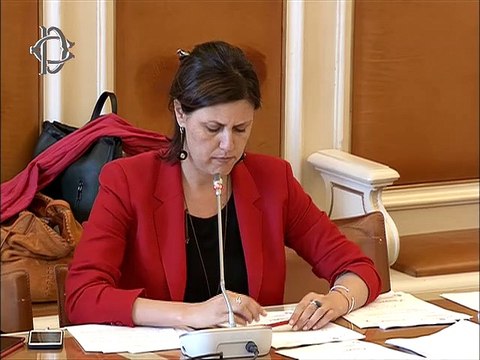 Roma - Commissione Ambiente, audizioni su nomine enti parco (31.07.19)