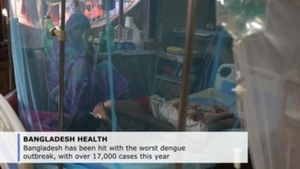Worst dengue outbreak hits Bangladesh with over 17,000 cases this year