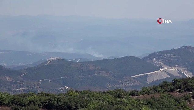 Hatay sınırında orman yangını