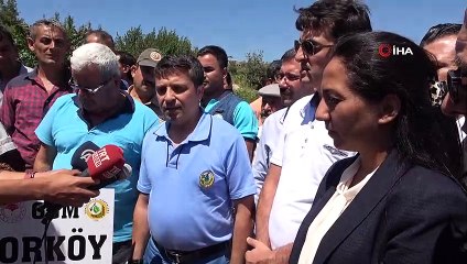 Hatay'da sumak hasadı başladı