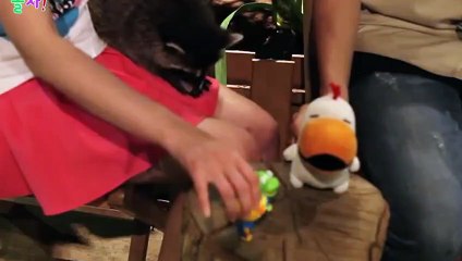 완도$$∮완도출장안마 -후불100%ョOiOc2659c1768｛카톡SN92｝ 완도전지역출장안마 완도오피걸 완도출장마사지 완도안마 완도출장마사지 완도콜걸샵ёжз