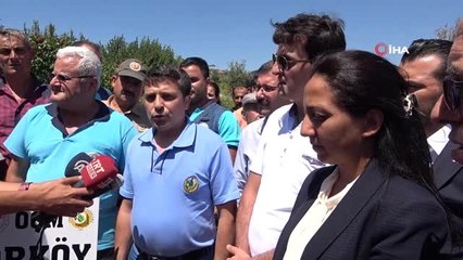 Hatay'da sumak hasadı başladı