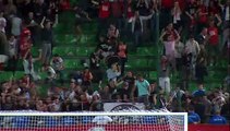 10/08/13 : Mevlüt Erding (84') : Rennes - Reims (2-1)