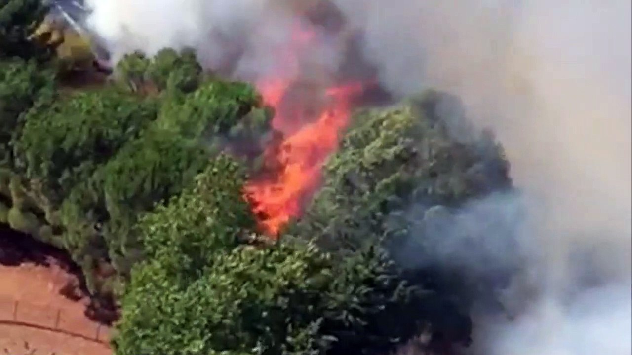 incendie saint andré de sangonis