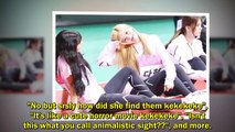 [BTS NEWS] Netizens LOL at the reason why 'Dispatch' will never be able to expose TWICE's Dahyun