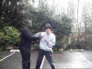 www.wingtsun-france.fr _0001