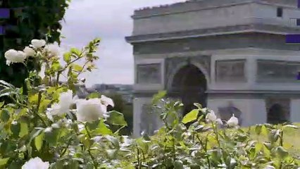 2019 Paris Rapid & Blitz: Rest Day and Chess Play