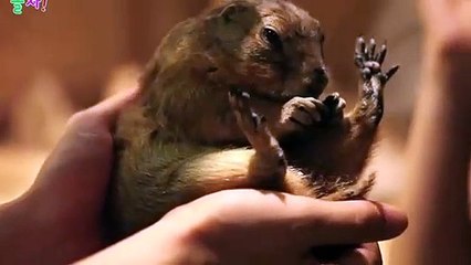 동안$$≑동안출장안마 -후불100%ョO7Oy7575y0054｛카톡USA16｝ 동안전지역출장안마 동안오피걸 동안출장마사지 동안안마 동안출장마사지 동안콜걸샵ぁあぃ