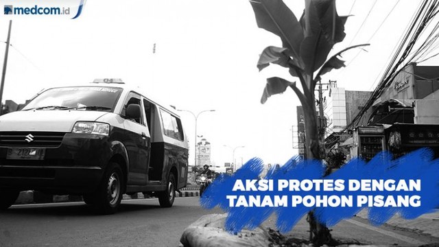Aksi Protes dengan Tanam Pohon Pisang