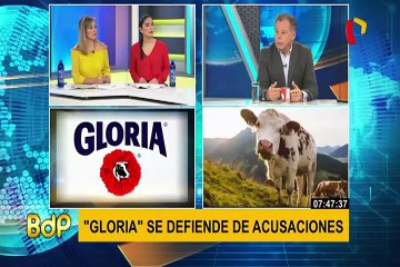 Gloria: Leche es 100% de vaca y se elabora conforme al Codex Alimentarius