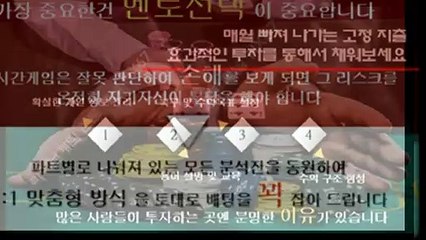 해와달분석기 카톡문의 : NX67