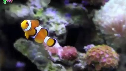 강진$$◁강진출장안마 -후불100%ョOiOy7685y6221｛카톡LTE16｝ 강진전지역출장안마 강진오피걸 강진출장마사지 강진안마 강진출장마사지 강진콜걸샵∧⊙▼