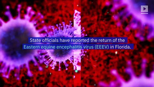 Rare, Brain-Infecting Virus Being Spread by Florida Mosquitos