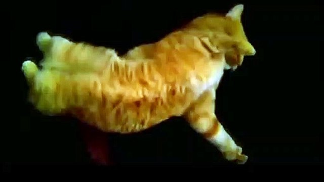 세종$$∮세종출장안마 -후불100%ョOiOc2659c1768｛카톡KP93｝ 세종전지역출장안마 세종오피걸 세종출장마사지 세종안마 세종출장마사지 세종콜걸샵ザシジ