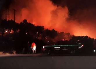 İzmir'de zeytinlik alanda yangın
