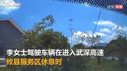 Femme au volant : elle se plante sans raison dans les arbres !