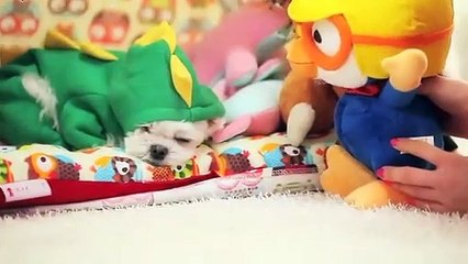 고령$$≑고령출장안마 -후불100%ョO7Oy7575y0054｛카톡OYO78｝ 고령전지역출장안마 고령오피걸 고령출장마사지 고령안마 고령출장마사지 고령콜걸샵ЪЫЬ