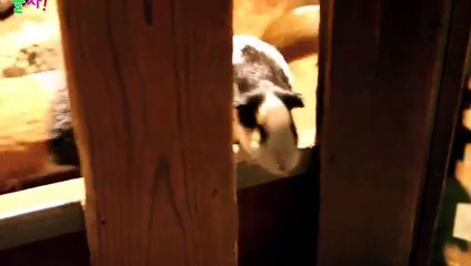 김해$$◁김해출장안마 -후불100%ョOiOc6622c4421｛카톡XN94｝ 김해전지역출장안마 김해오피걸 김해출장마사지 김해안마 김해출장마사지 김해콜걸샵んァア