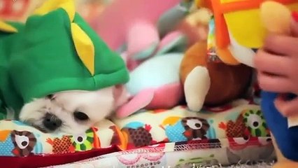 군산$$∮군산출장안마 -후불100%ョO7Oy7575y0069｛카톡CC6969｝ 군산전지역출장안마 군산오피걸 군산출장마사지 군산안마 군산출장마사지 군산콜걸샵ŧŋŉ