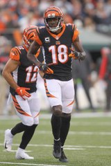 Bengals A.J. Green Expected to Miss Multiple Games