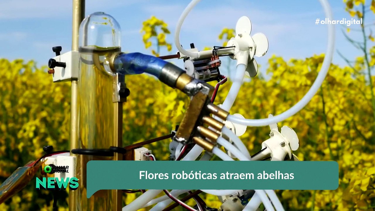 Ao vivo | WhatsApp vai ganhar modo escuro | 31/07/2019 #olhardigital