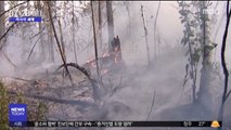 [이 시각 세계] 러 시베리아 대형 산불…남한 면적 3분의 1 소실