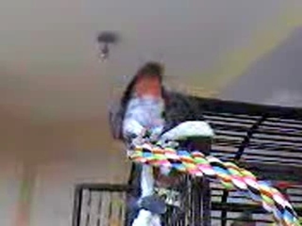 miko dit "gentil"-"bisou a papa"