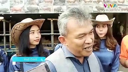 Geliat SPG Sapi Kurban di Depok