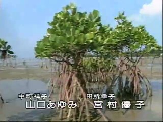 水姑娘92 影片dailymotion