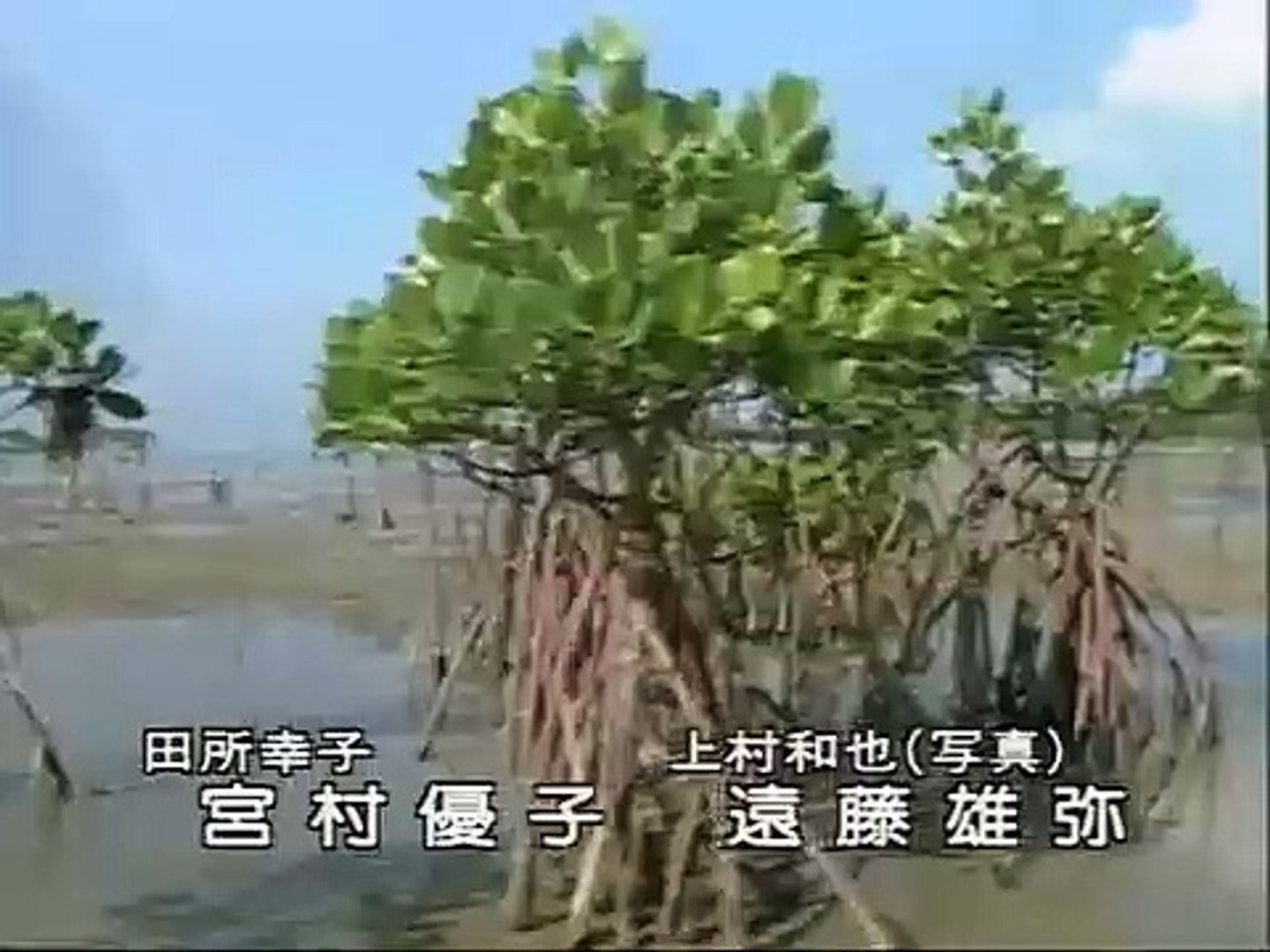 水姑娘93 影片 Dailymotion