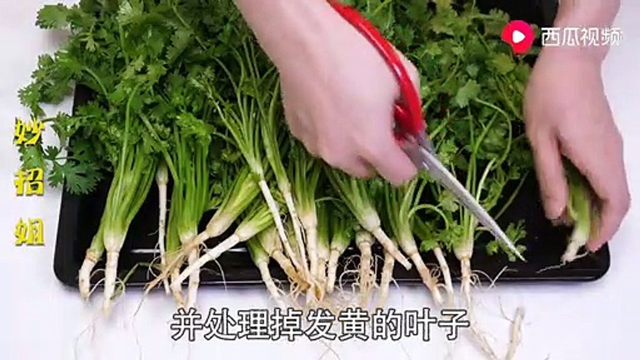 【Save parsley】香菜吃不完这样保存，放一年叶子依旧翠绿新鲜，不变味，太实用了