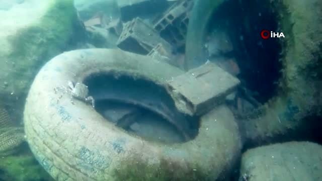 Deniz dibinden çıkanları görenler gözlerine inanamadı