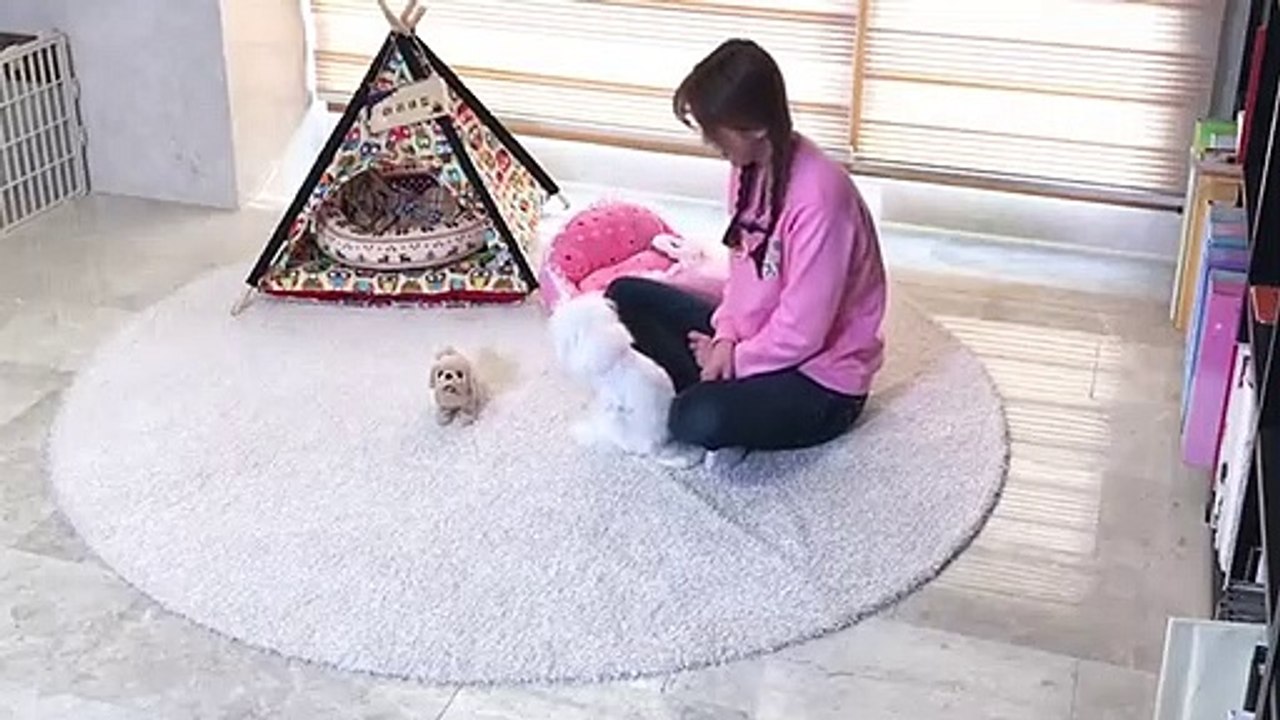 시흥출장아가씨후≑시흥출장안마 -후불100%ョOiOc7362c3210｛카톡RQ43｝ 시흥전지역출장안마 시흥오피걸 시흥출장마사지 시흥안마 시흥출장마사지 시흥콜걸샵∀