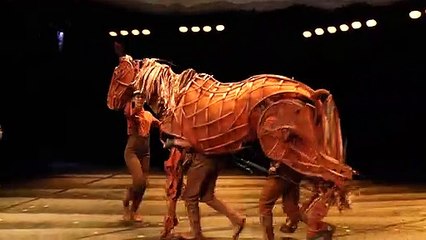 Acting Alongside Warhorse's  Puppet Animals!