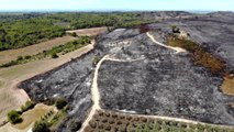 Incendie dans le Gard: ces images aériennes montrent les centaines d'hectares réduits en cendre